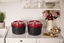 Two STAUB high-quality Dutch oven cocottes nesting in the new Induction cooker preview