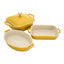 4-pc, Mixed Baking Dish Set, Citron preview