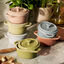 12-pc, Mini Cocotte and Bowl Set, Mixed Colors,,large preview