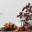 3.5 qt, Pumpkin, Dutch Oven With Stainless Steel Knob, Pure White,,large preview