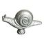 Animal Knob - Snail,,large preview