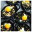 6-inch, Oval, Mini Gratin Baking Dish, Matte Black,,large preview