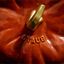 3.5 qt, Pumpkin, Dutch Oven With Brass Knob, Burnt Orange,,large preview