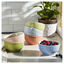 4.5-inch / 6-pc, Bowl set macaron, Mixed Colors,,large preview